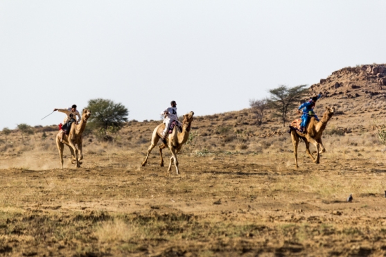 Camel Race. ©KartikayaNagar